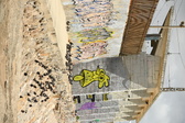 Enlarge photo 67