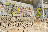 Enlarge photo 79