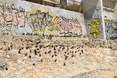 Enlarge photo 80