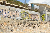 Enlarge photo 84