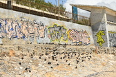 Enlarge photo 85