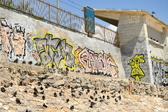 Enlarge photo 87