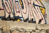 Enlarge photo 89