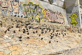 Enlarge photo 93