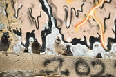 Enlarge photo 105