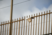 Enlarge photo 109