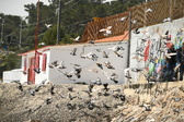Enlarge photo 111