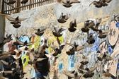 Enlarge photo 118