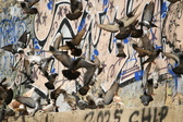 Enlarge photo 119
