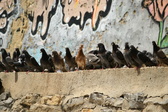 Enlarge photo 140