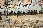 Enlarge photo 142