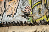 Enlarge photo 144