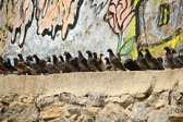 Enlarge photo 145
