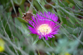 Enlarge photo 158