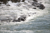 Enlarge photo 160