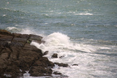 Enlarge photo 161