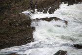 Enlarge photo 164
