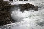 Enlarge photo 166