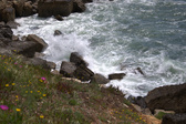 Enlarge photo 169