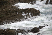 Enlarge photo 171
