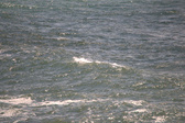 Enlarge photo 173