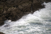Enlarge photo 175