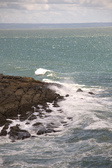 Enlarge photo 176