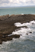 Enlarge photo 178