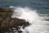 Enlarge photo 183