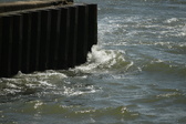 Enlarge photo 205
