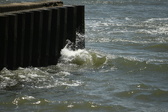 Enlarge photo 206
