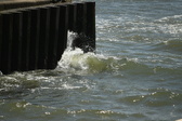 Enlarge photo 207
