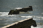 Enlarge photo 216