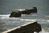 Enlarge photo 217