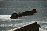 Enlarge photo 219
