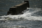 Enlarge photo 223
