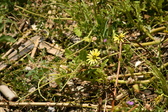Enlarge photo 234