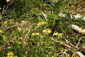 Enlarge photo 235