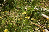 Enlarge photo 236