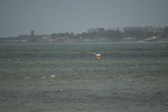 Enlarge photo 240