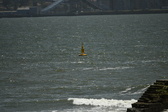 Enlarge photo 261