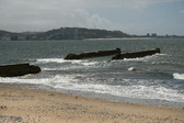 Enlarge photo 263