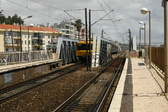 Enlarge photo 277
