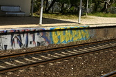 Enlarge photo 298