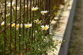 Enlarge photo 325