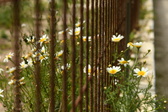 Enlarge photo 328