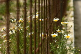 Enlarge photo 329