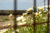 Enlarge photo 342
