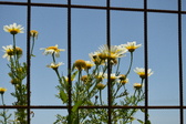 Enlarge photo 349