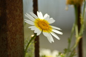 Enlarge photo 355